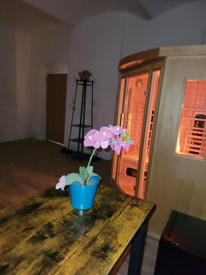 Chateau Moravany - Apartmany, Teepee A Wellness Ronow an der Doubrava Dış mekan fotoğraf