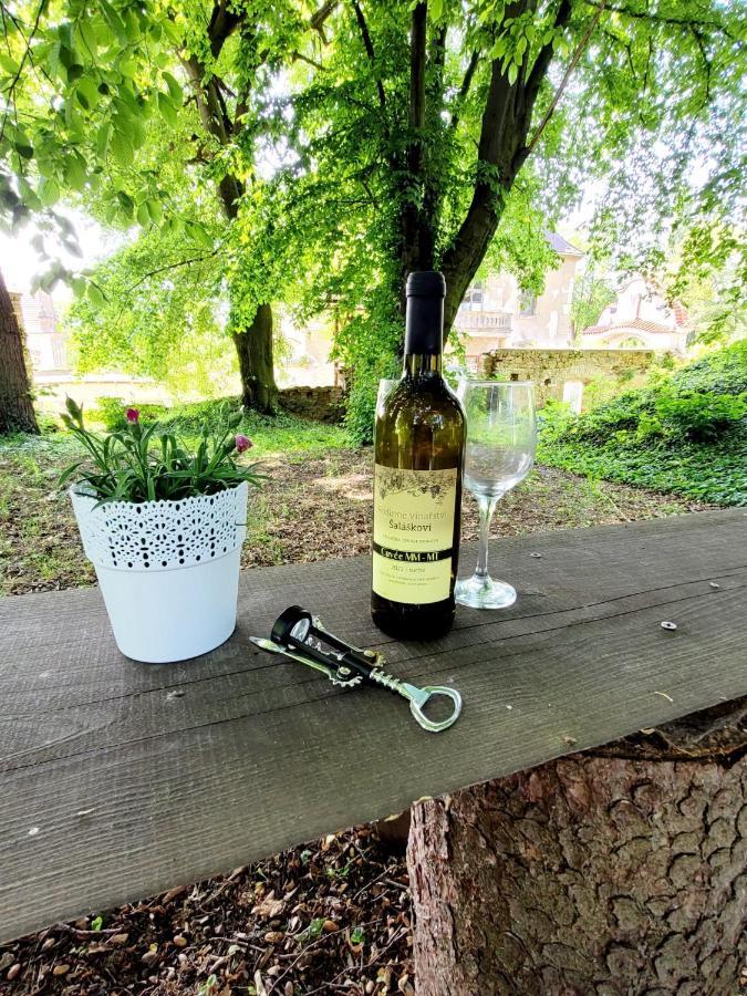 Chateau Moravany - Apartmany, Teepee A Wellness Ronow an der Doubrava Dış mekan fotoğraf