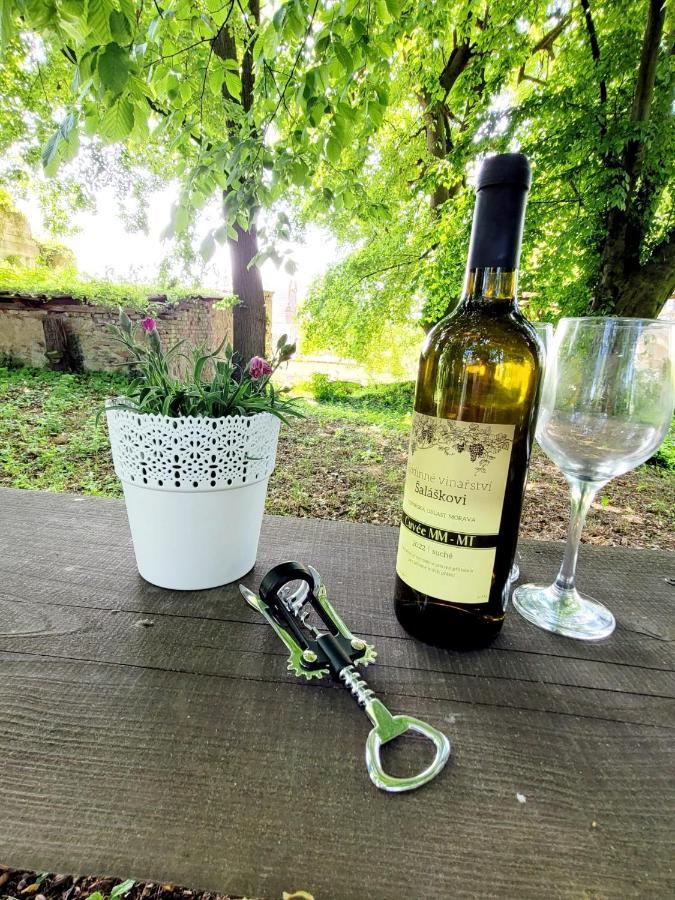 Chateau Moravany - Apartmany, Teepee A Wellness Ronow an der Doubrava Dış mekan fotoğraf