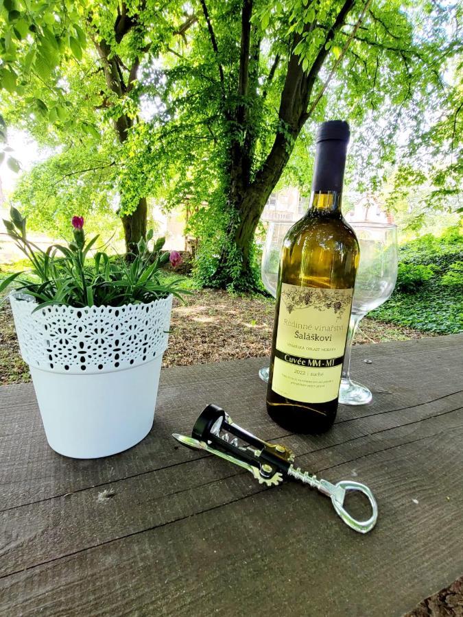 Chateau Moravany - Apartmany, Teepee A Wellness Ronow an der Doubrava Dış mekan fotoğraf